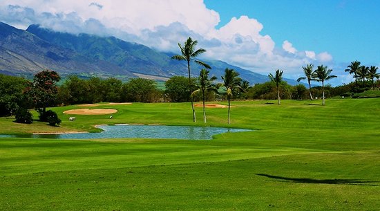 5 Best Golf Courses In Maui Vacatia   Thumb 550x 559d88f577243 