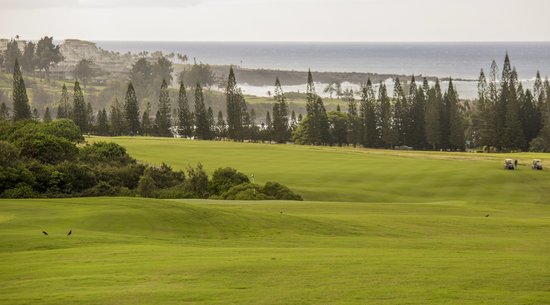 Maui Golf Couse: The Plantation Courese