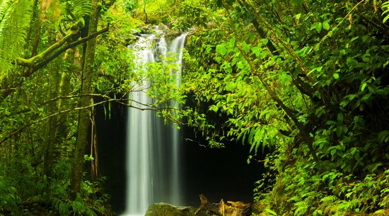 Twin Falls: Stop on Road to Hana