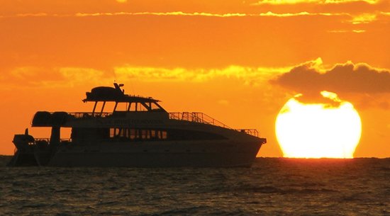 Pacific Whale: Sunset Dinner Cruise