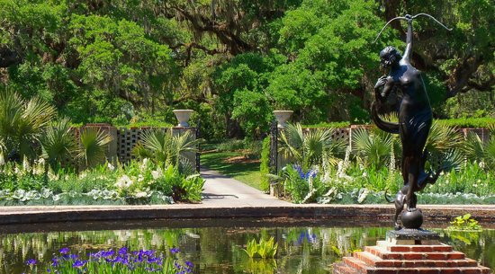 garden tours myrtle beach