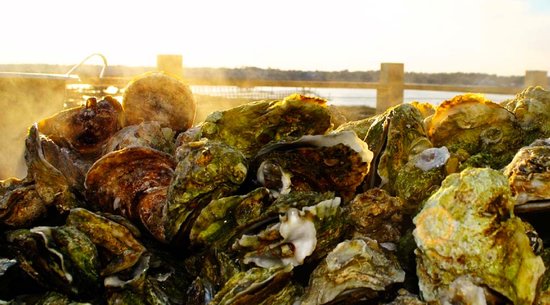 Gulfstream Cafe: Myrtle Beach Restaurant Seafood