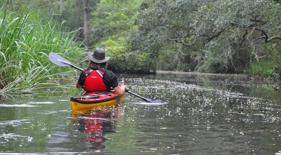 Kayaking: Myrtle Beach Watersport