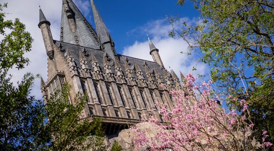 Harry Potter Grand Hall - Backdrop Rental