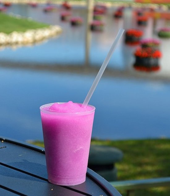 Frozen Lemonade at Disney World