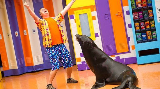 Sea Lion High with Clyde and Seamore: SeaWorld Show