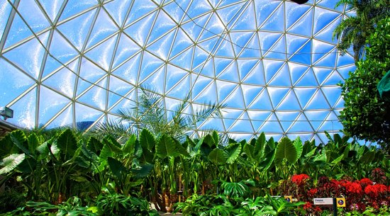 The Land Pavilion Geo-dome Greenhouse at Epcot