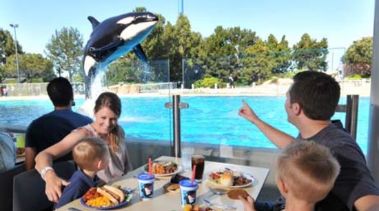 Dine with Shamu: SeaWorld Dinner Show