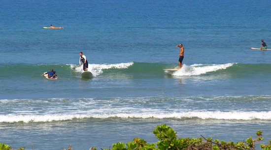 Stand Up Paddle on Maui: The Cove Park