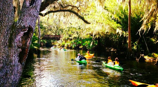 Orlando Family Vacation Guide: Kayaking in the Florida Everglades: Orlando Activities