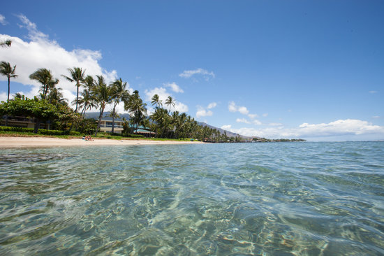 Baby Beach: Great Maui Beach for Kids