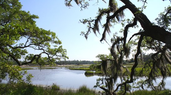 Vereen Memorial Gardens: Myrtle Beach Nature Tours