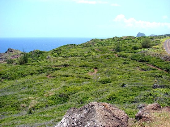 Ohai Loop Trail Maui Hikes