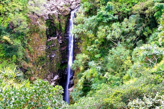 Lower Puohokamoa Falls Maui Waterfalls