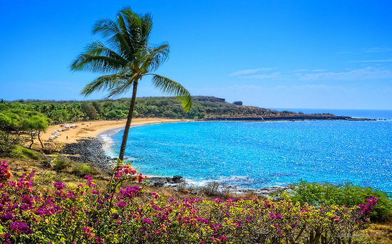 Hulupoe Bay Lanai