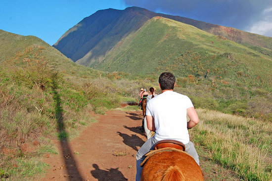 Horseback Riding Maui: Maui Excursions