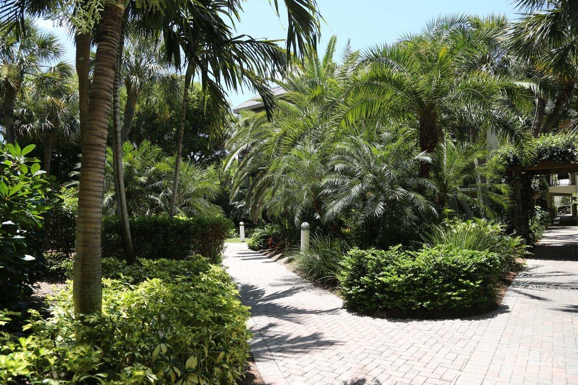 The Cottages At South Seas Island Resort Timeshare Resorts