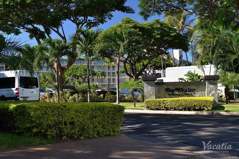 The Whaler on Ka'anapali Beach Timeshare Resorts Maui, Hawaii