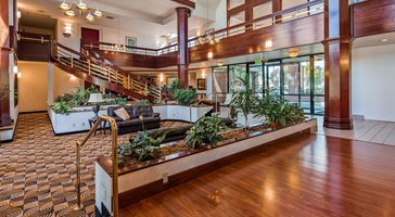 gallery preview
