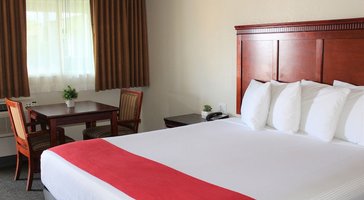 Hotel V