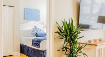 gallery preview