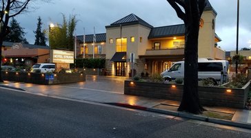 gallery preview