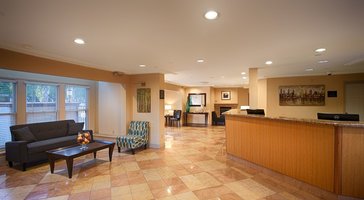 gallery preview