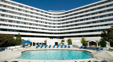 gallery preview