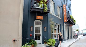 gallery preview
