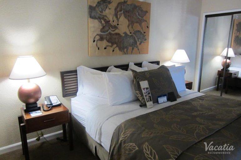 room preview
