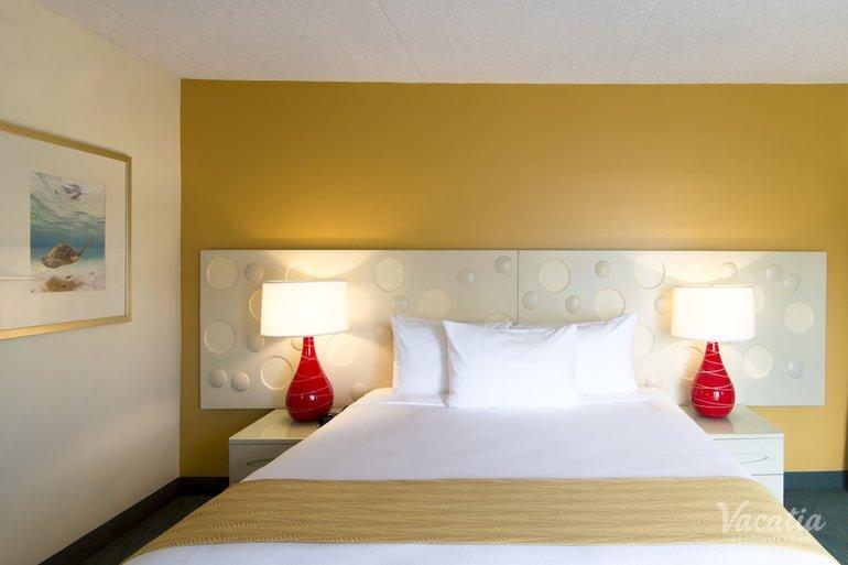 room preview