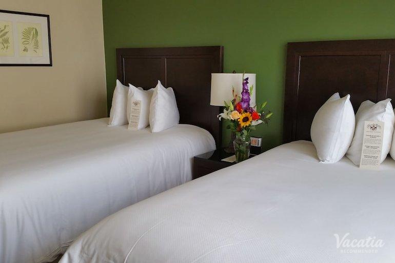 room preview