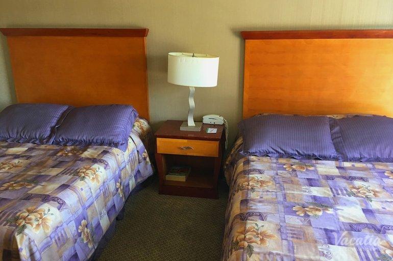 room preview