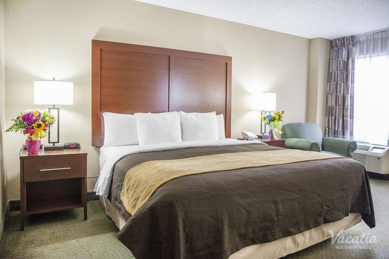 room preview