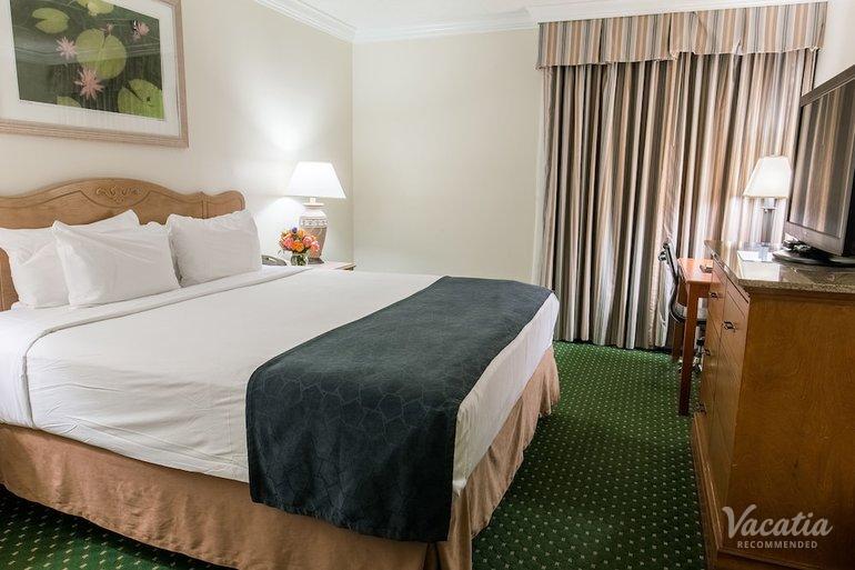 room preview