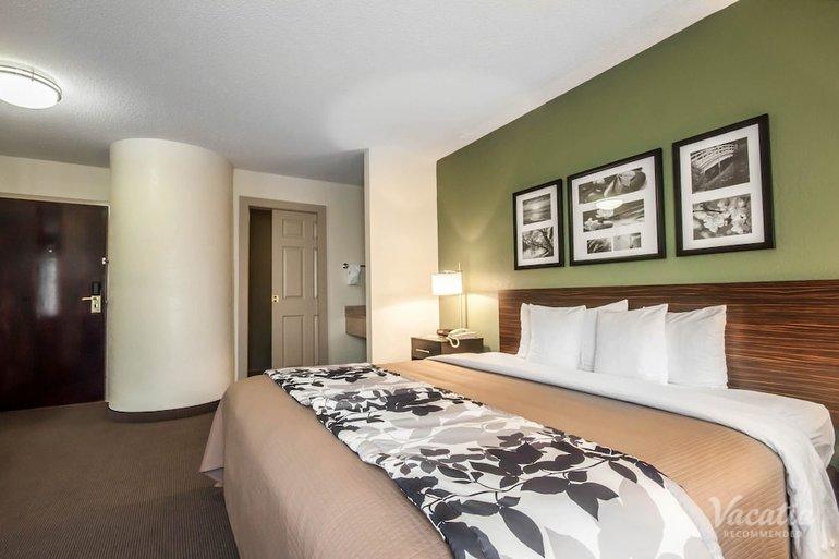room preview