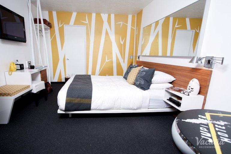 room preview