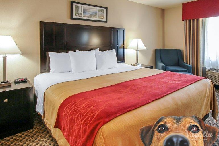 room preview