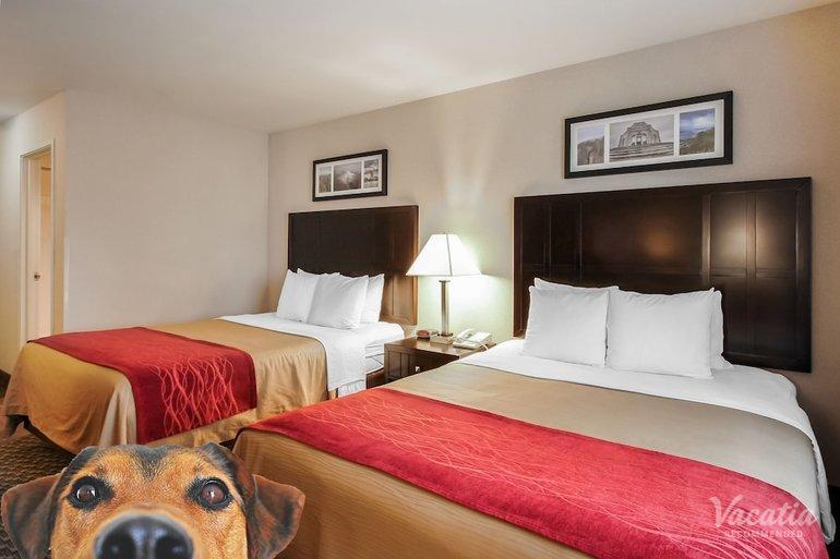 room preview